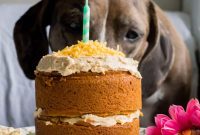 Mini Birthday Cake Ideas for Small Dogs