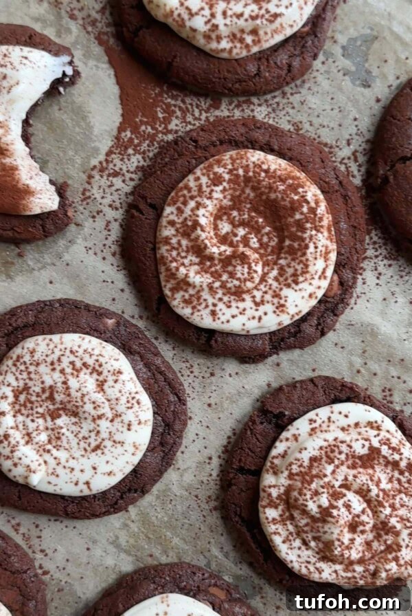 tiramisu cookies on a baking tray with cocoa powder dusting
