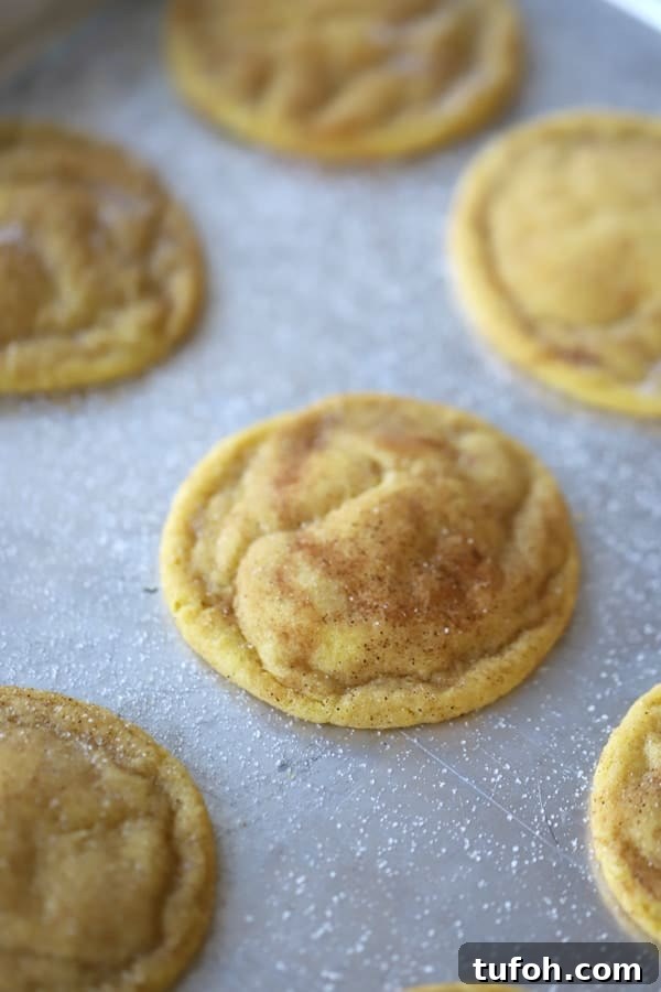 Einkorn Snickerdoodles made with all-purpose Einkorn flour.