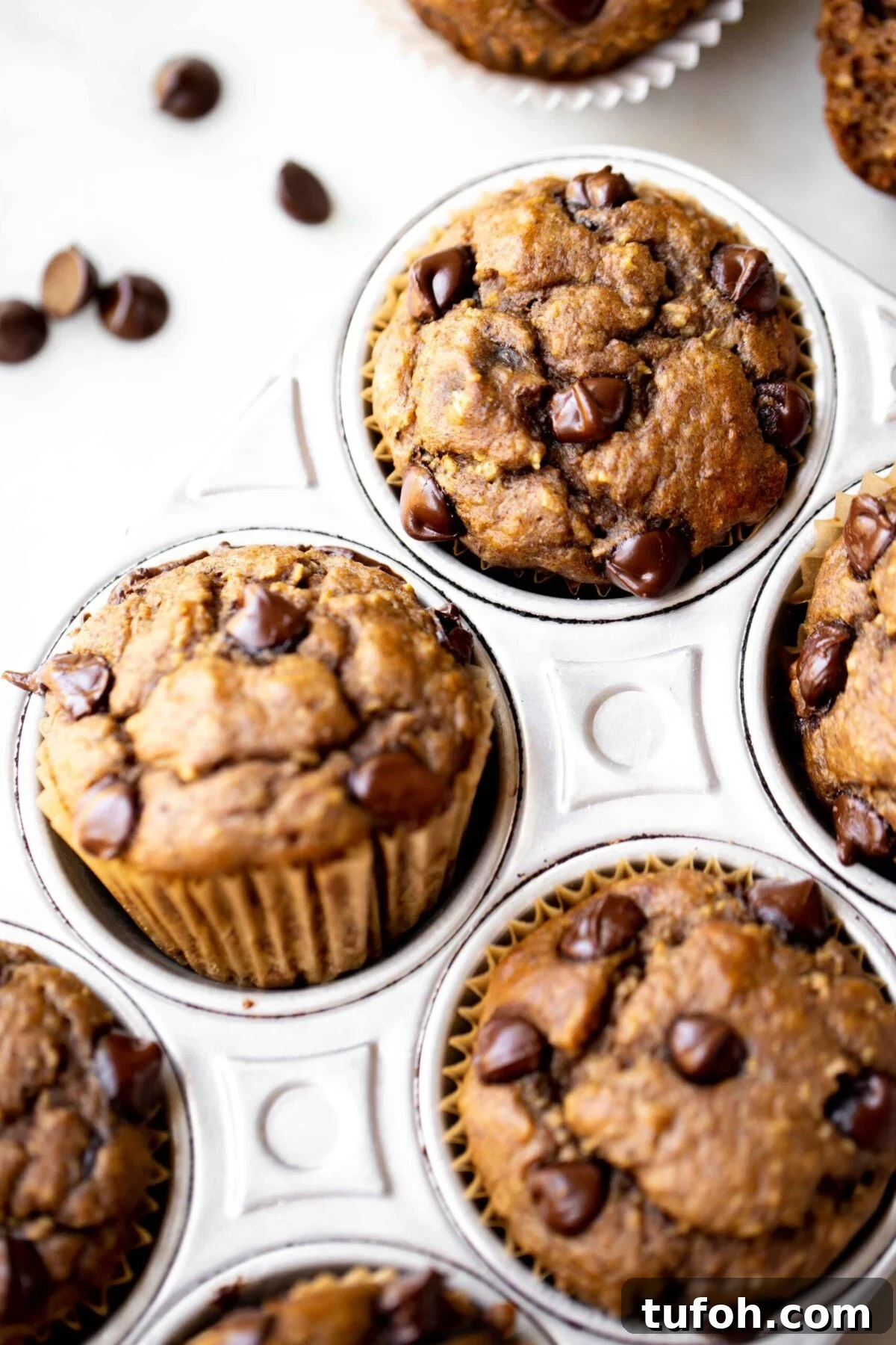 Banana Lentil Muffins: Protein-Packed Breakfast Muffin Recipe 3 closeup photo at 45 degree angle of freshly baked chocolate chip banana muffins in an aluminum muffin pan on a light gray marble background
