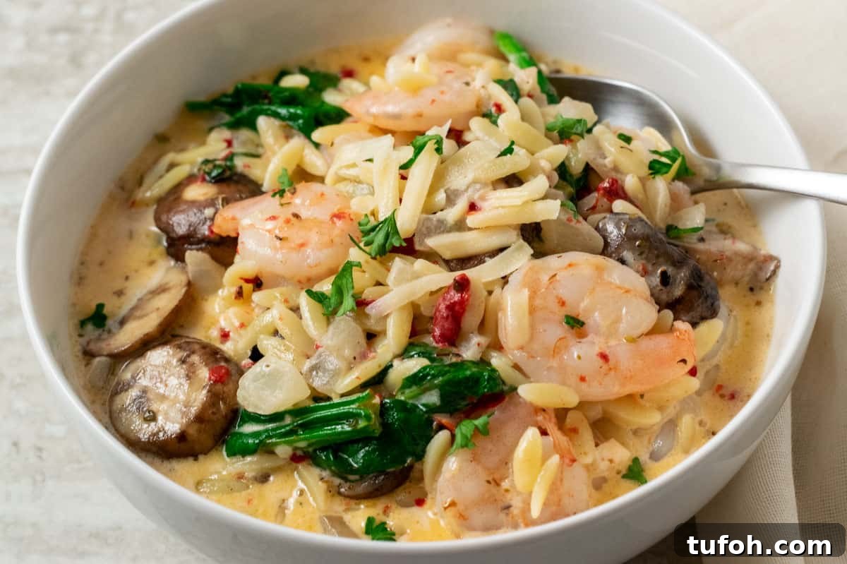 Tuscan Garlic Shrimp with Creamy Orzo 7 a bowl filled creamy garlic tuscan shrimp and a spoon scooping some out