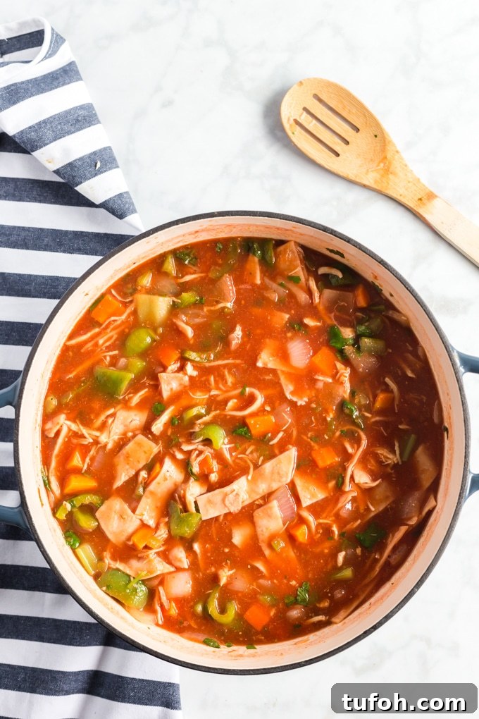 Comforting Chicken Tortilla Soup with Avocado and Crispy Tortillas 4 Mexican Chicken Tortilla Soup in a Dutch oven.