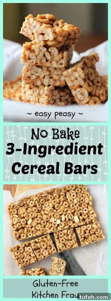 No-Bake 3-Ingredient Cereal Bars with Peanut Butter & Honey 13 Easy Cooking with Kids Project - 3 Ingredient No Bake Cereal Bars