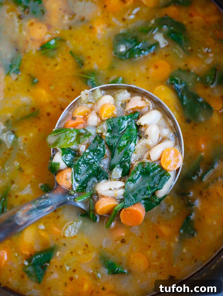 A ladle of Tuscan white bean soup.