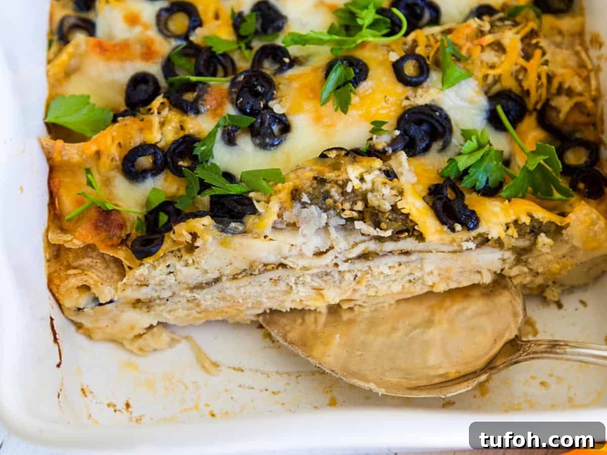 Cheesy Chicken Enchilada Casserole Recipe for Family Dinner 7 img 1356 6