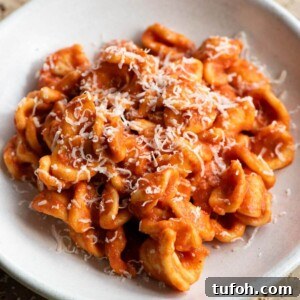 A close up of orecchiette pasta with Nduja sugo in a bowl.