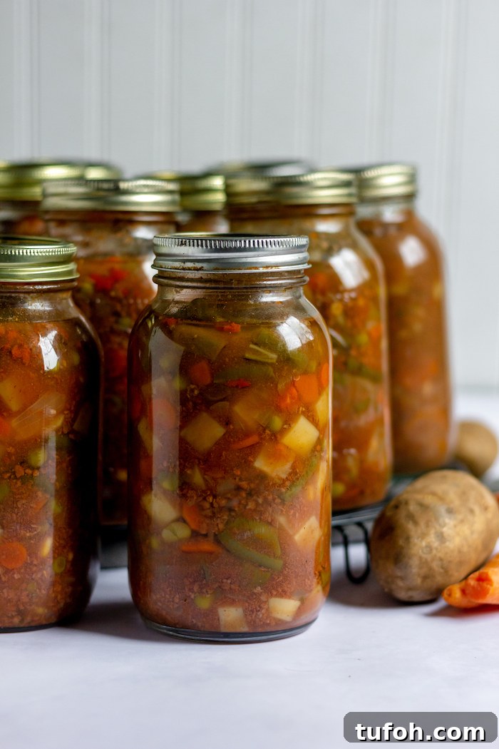 Canning Vegetable Soup at Home: Step-by-Step Guide 2 Image shows jars of vegetable soup