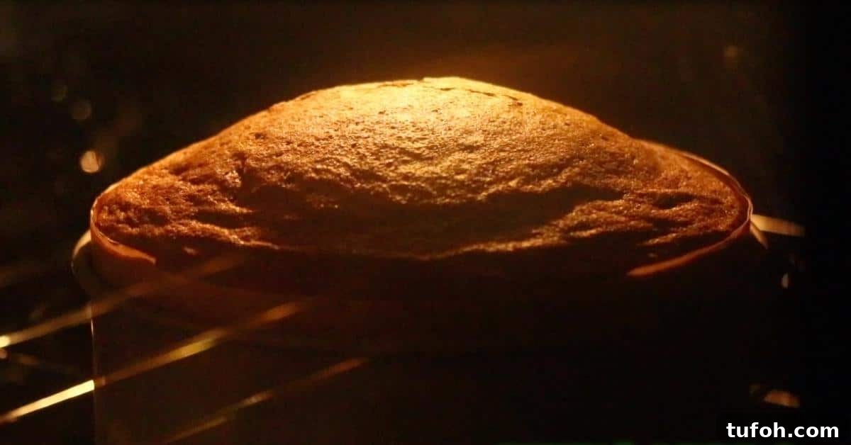 matcha sponge cake baked in the oven