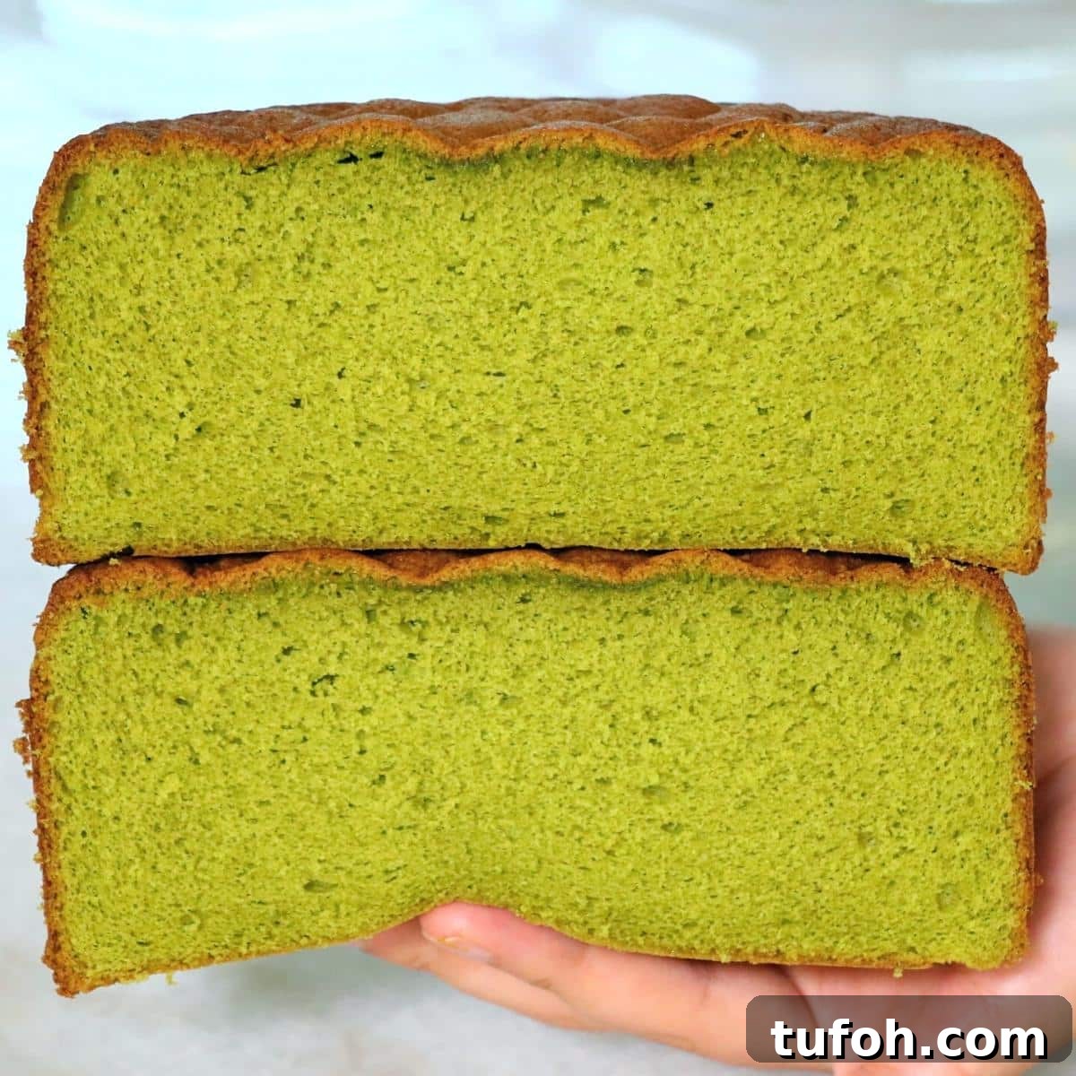 fluffy matcha green tea sponge cake cut in half