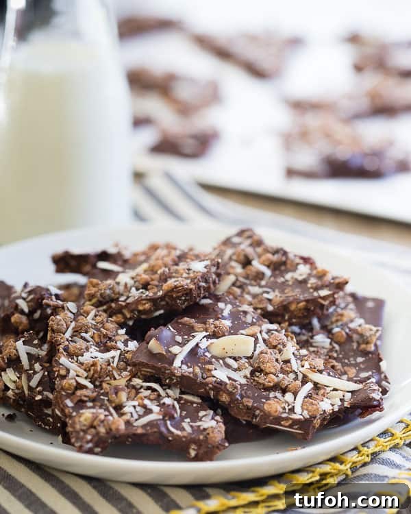 Dark Chocolate Granola Bark
