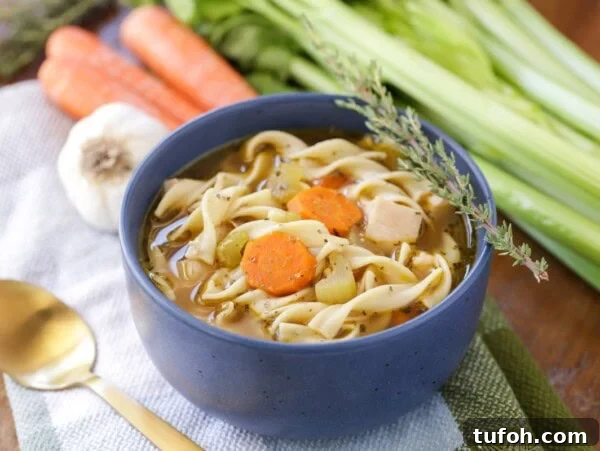 Bowl of our homemade chicken noodle soup recipe in it.