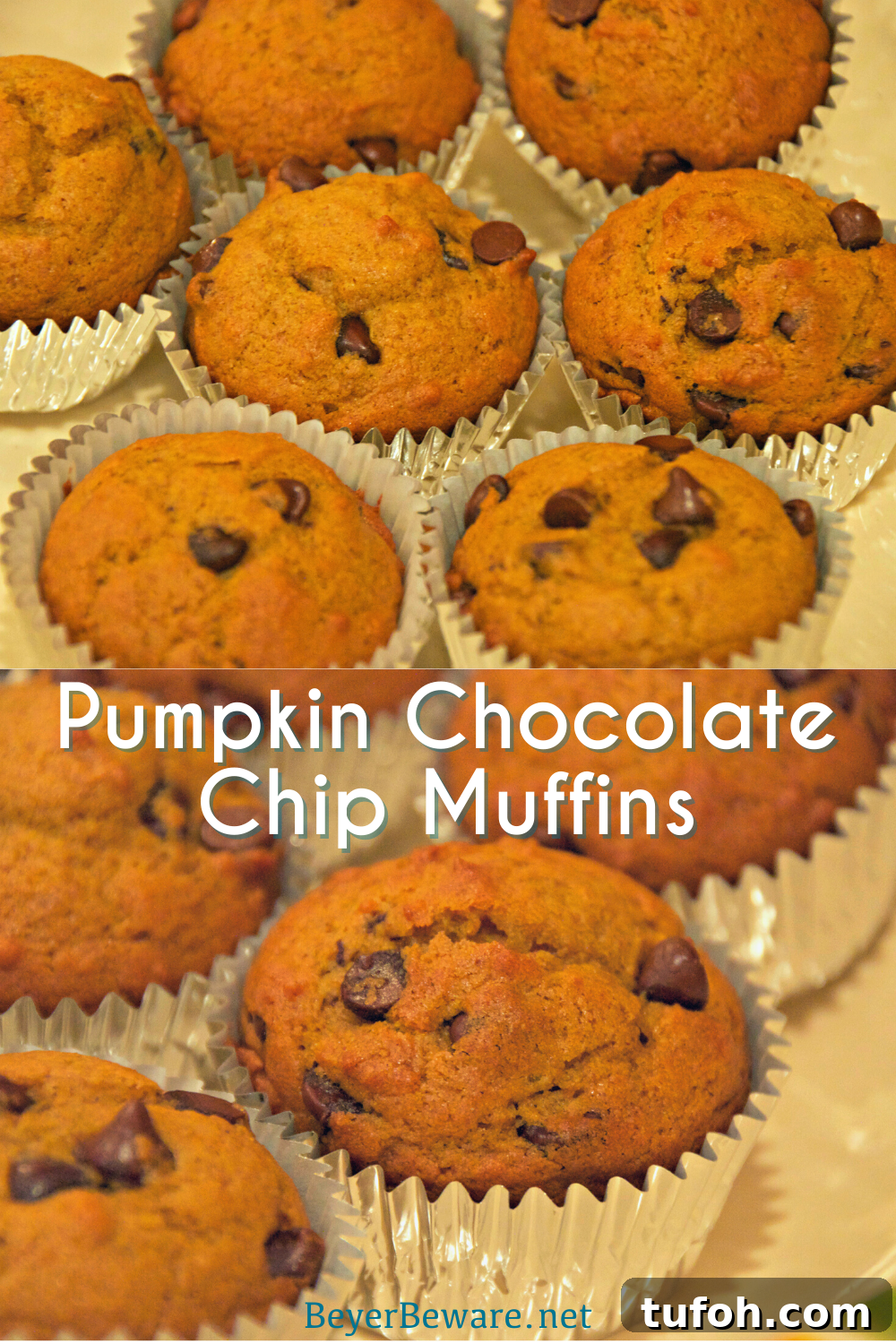 Pumpkin Chocolate Chip Muffins: Moist Fall Recipe for Baking 2 Pumpkin chocolate chip muffins are a staple of fall snacks and breakfast made from scratch with canned pumpkin and plenty of chocolate chips to make the kids feel like they aren't eating healthy food.