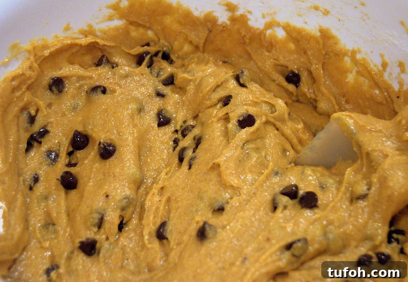 pumpkin chocolate chip muffin dough pumpkin chocolate chip muffin dough