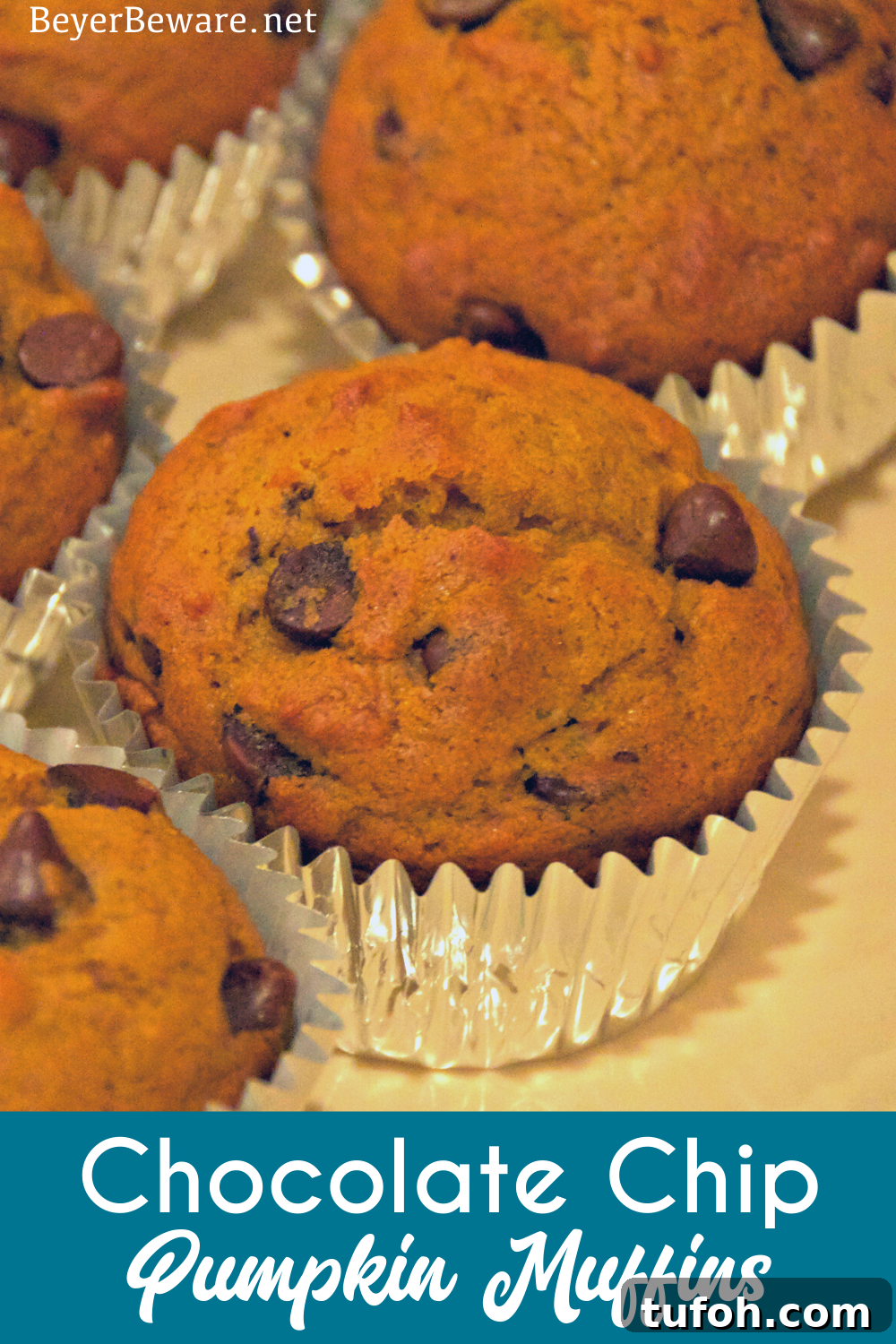 Pumpkin Chocolate Chip Muffins: Moist Fall Recipe for Baking 8 Pumpkin chocolate chip muffins are a staple of fall snacks and breakfast made from scratch with canned pumpkin and plenty of chocolate chips to make the kids feel like they aren't eating healthy food.