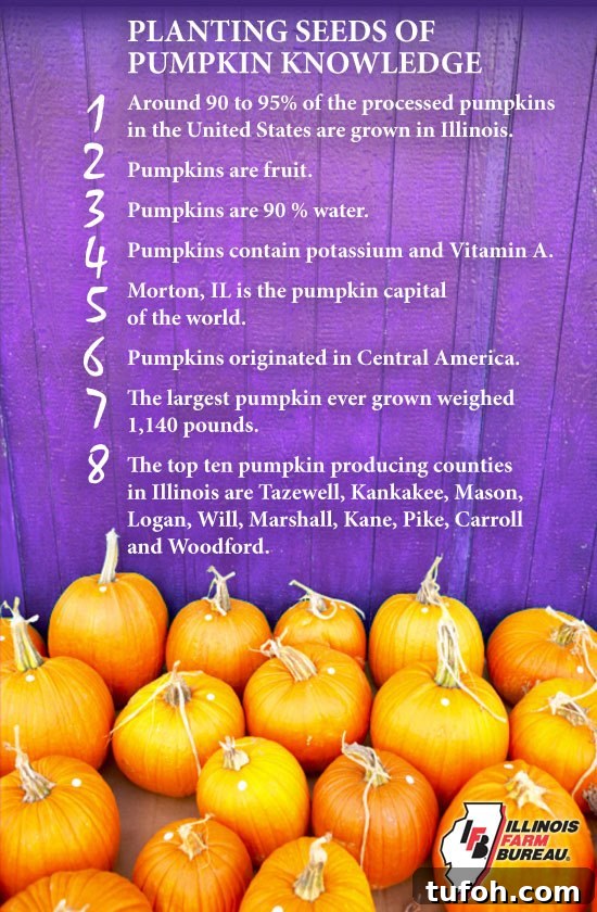 Pumpkin Puree Facts Pumpkin Puree Facts