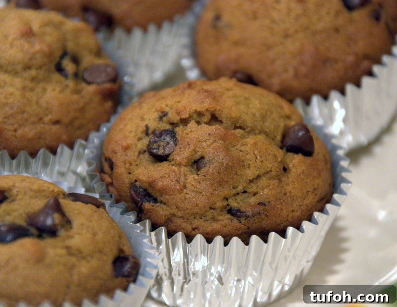 Pumpkin Chocolate Chip Muffins Pumpkin Chocolate Chip Muffins