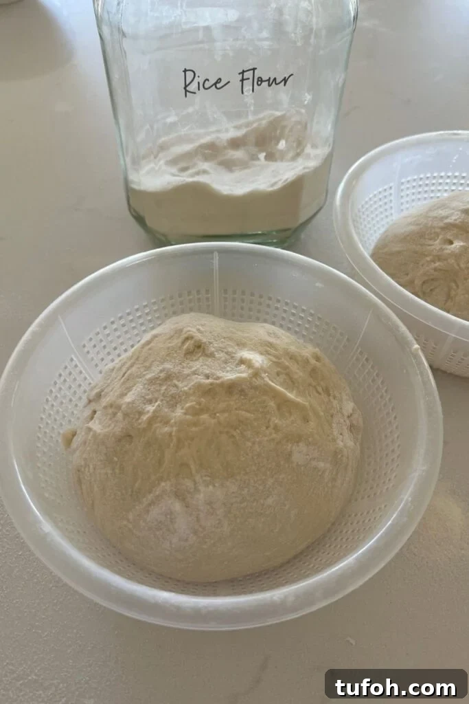 Small-Batch Sourdough Loaf Recipe for Home Bakers 14 Small batch sourdough that has been coated in rice flour and lifted into banneton (which is a ricotta basket).