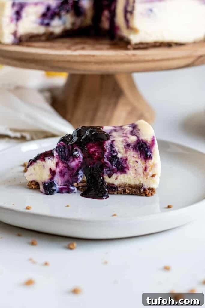 Slice of blueberry lemon cheesecake on plate