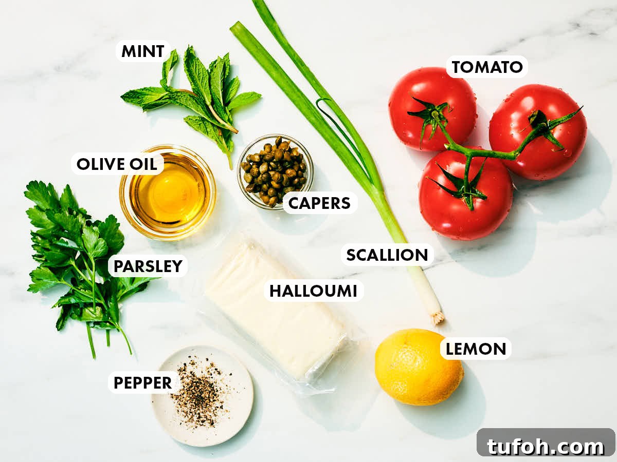 Grilled Halloumi and Tomato Salad with Fresh Herbs 5 Ingredients to make Evergreen Kitchen's Halloumi Tomato Salad recipe.