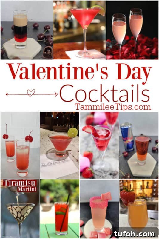 25+ Romantic Valentine's Day Cocktails and Toasting Drinks 2 Valentine's Day Cocktails text in a collage of red and pink cocktails