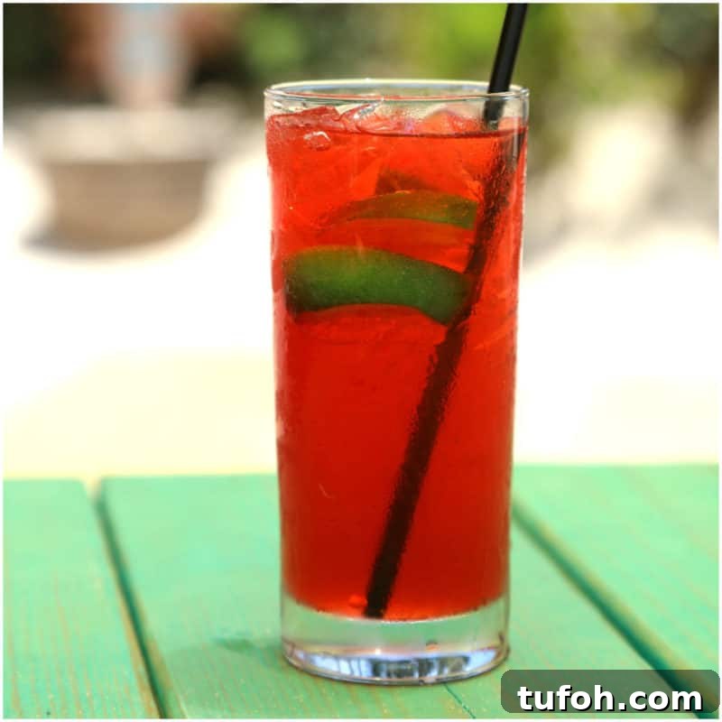 25+ Romantic Valentine's Day Cocktails and Toasting Drinks 8 Red cocktail with lime slices in a tall glass on a green picnic table