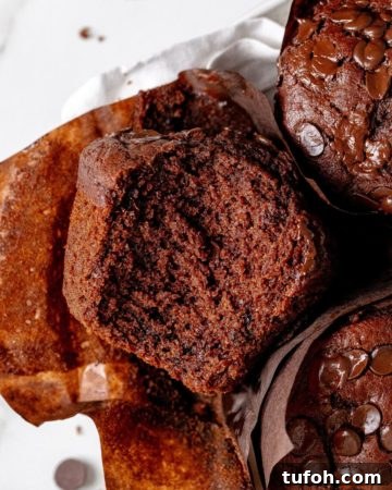 Double Chocolate Muffins