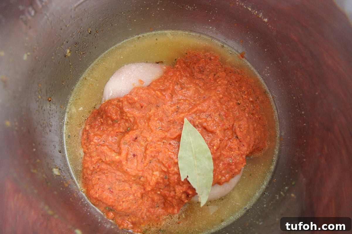 chicken stock, raw chicken breasts, tomato and chipotle sauce, and a bay leaf in the instant pot.