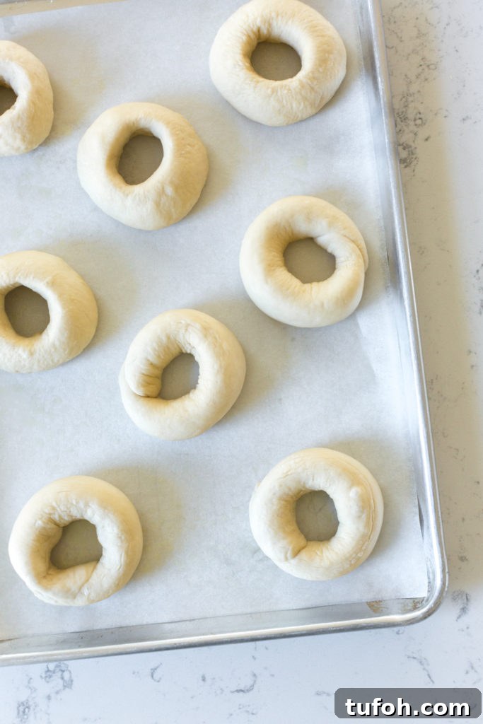 bagels shaped on a baking sheet