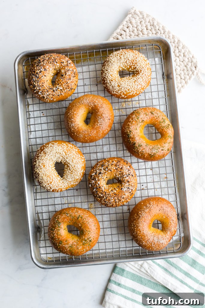 an assortment of bagels cooling on a baking sheet