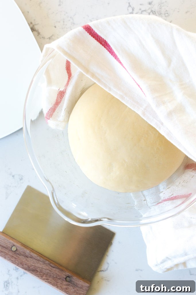 Best Basic Bagels dough proofed