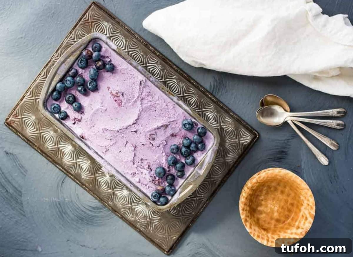21 Kid-Friendly Treats to Make Together (Simple Recipes) 2 An overhead shot of homemade blueberry ice cream in a metal loaf pan next to waffle bowls, spoons, and a cream colored napkin.