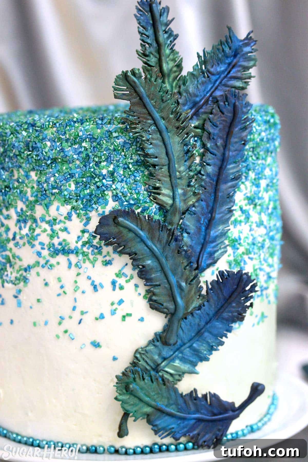 Decadent Chocolate Feather Cookies Recipe 11 Cake with blue and green sprinkles and chocolate feather decorations.