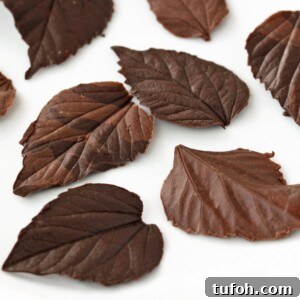 Decadent Chocolate Feather Cookies Recipe 12 Variety of dark and milk chocolate leaves on a white plate.