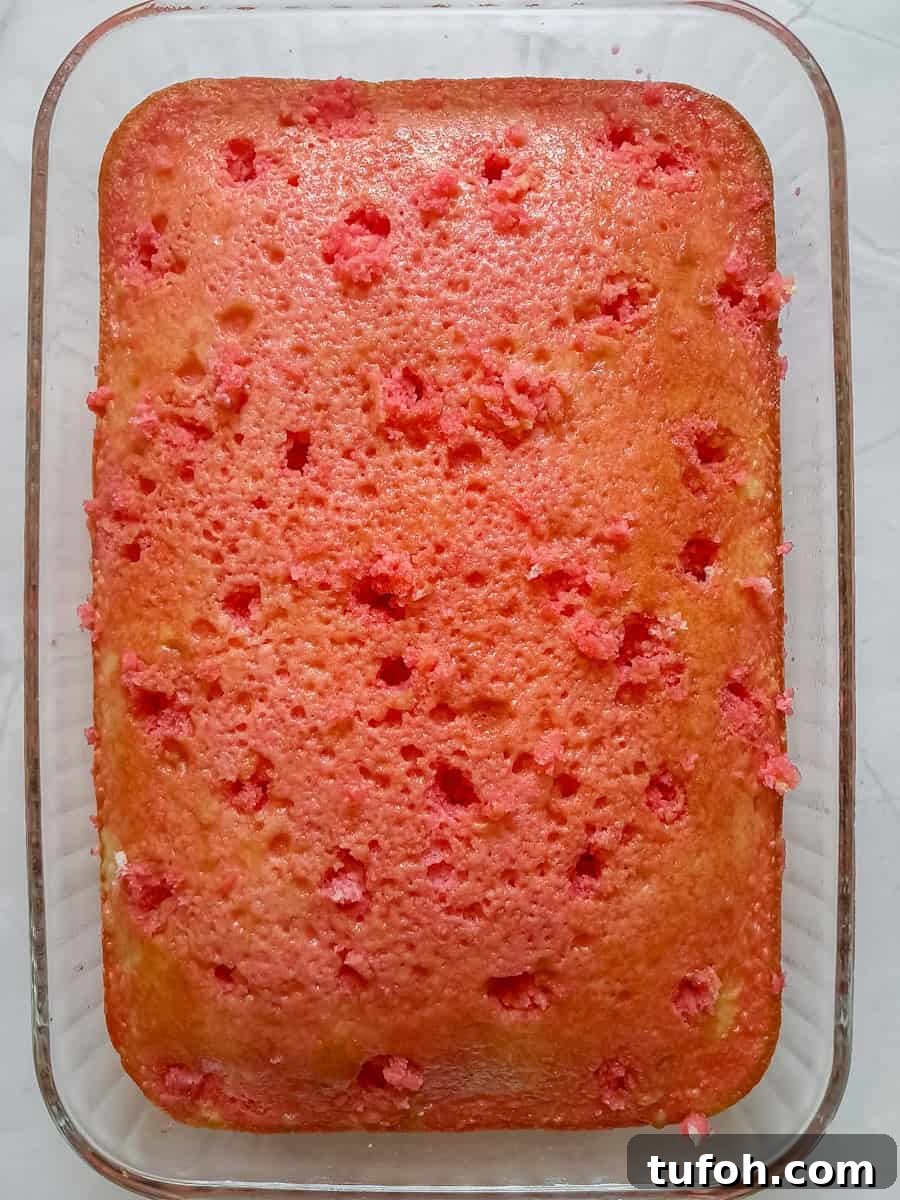 Amish Fruit Jello Cake Recipe: Classic Layered Dessert Guide 5 white cake in pan with holes poked and jello poured over the top.