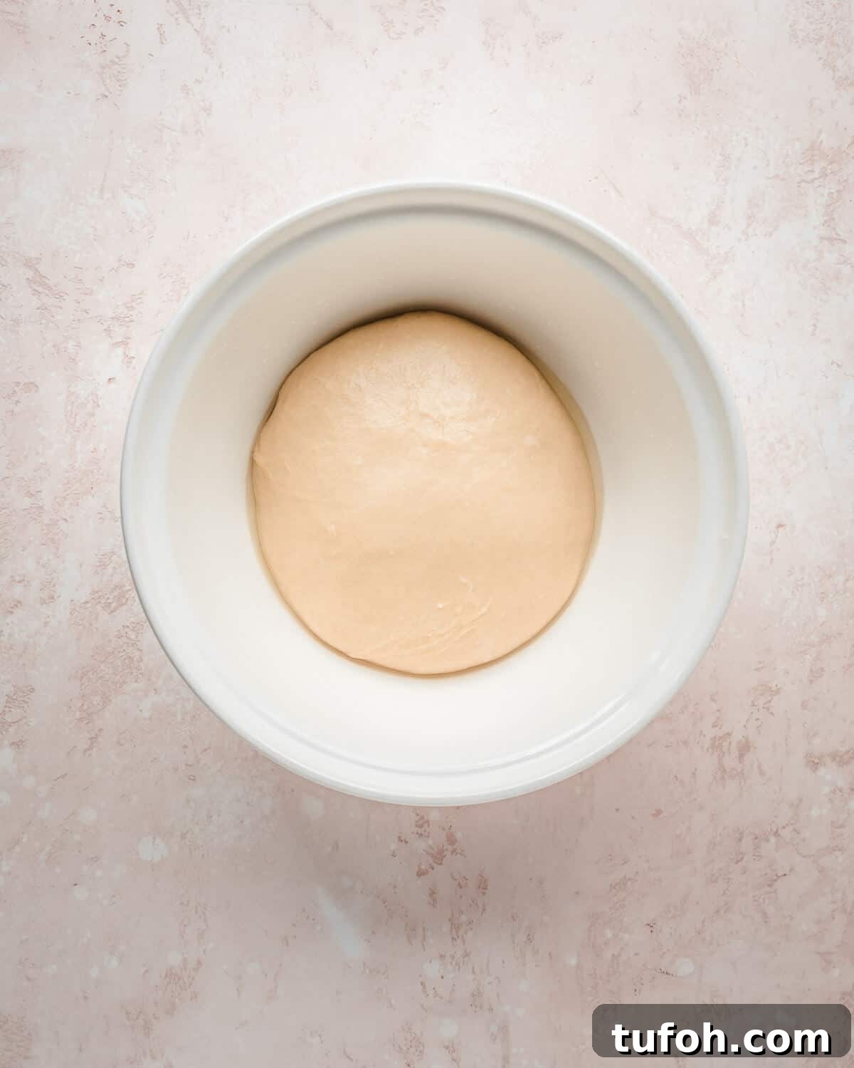 Sourdough Challah Recipe: Step-by-Step Guide for Perfect Braids 12 Sourdough challah dough ready to be shaped.