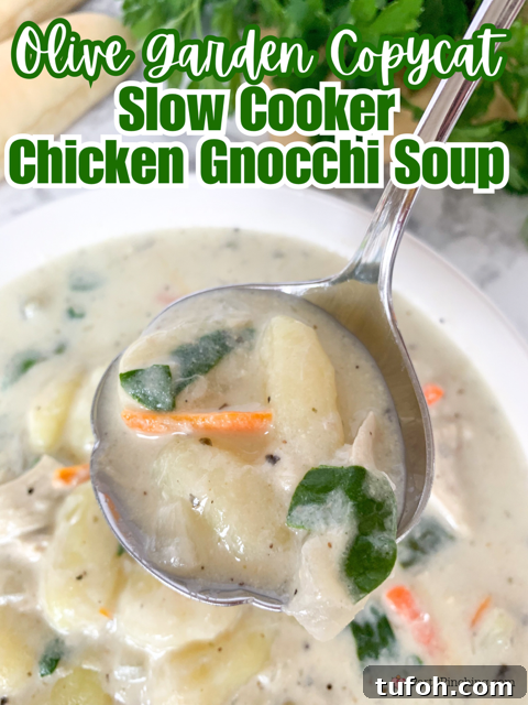 Creamy Slow Cooker Chicken Gnocchi Soup Recipe 11 olive garden copycat slow cooker chicken gnocchi soup, best easy chicken gnocchi soup, olive garden chicken gnocchi soup recipe, easy family dinner meal recipe ideas, cold chilly meal ideas recipes easy, best easy soup crockpot slow cooker recipe ideas