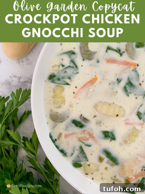 Creamy Slow Cooker Chicken Gnocchi Soup Recipe 13 olive garden copycat slow cooker chicken gnocchi soup, best easy chicken gnocchi soup, olive garden chicken gnocchi soup recipe, easy family dinner meal recipe ideas, cold chilly meal ideas recipes easy, best easy soup crockpot slow cooker recipe ideas