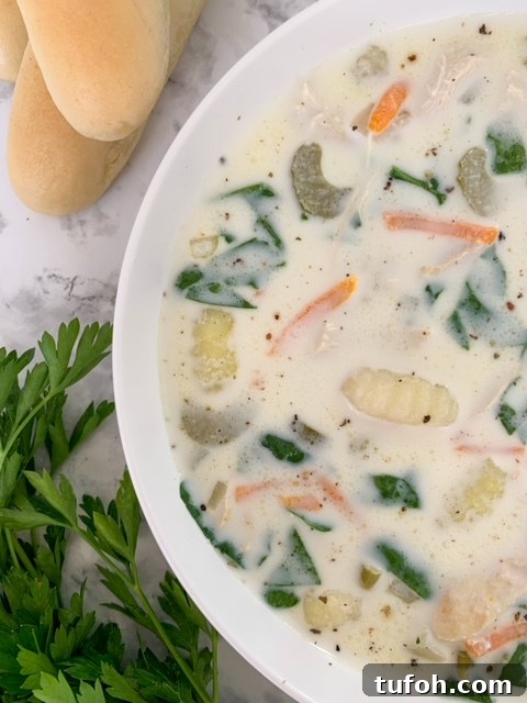 Creamy Slow Cooker Chicken Gnocchi Soup Recipe 3 olive garden copycat slow cooker chicken gnocchi soup, best easy chicken gnocchi soup, olive garden chicken gnocchi soup recipe, easy family dinner meal recipe ideas, cold chilly meal ideas recipes easy, best easy soup crockpot slow cooker recipe ideas