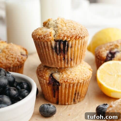 A stack of two lemon blueberry poppy seed muffins on parchment paper.