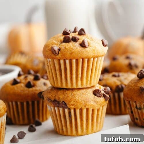 A stack of two mini pumpkin muffins.