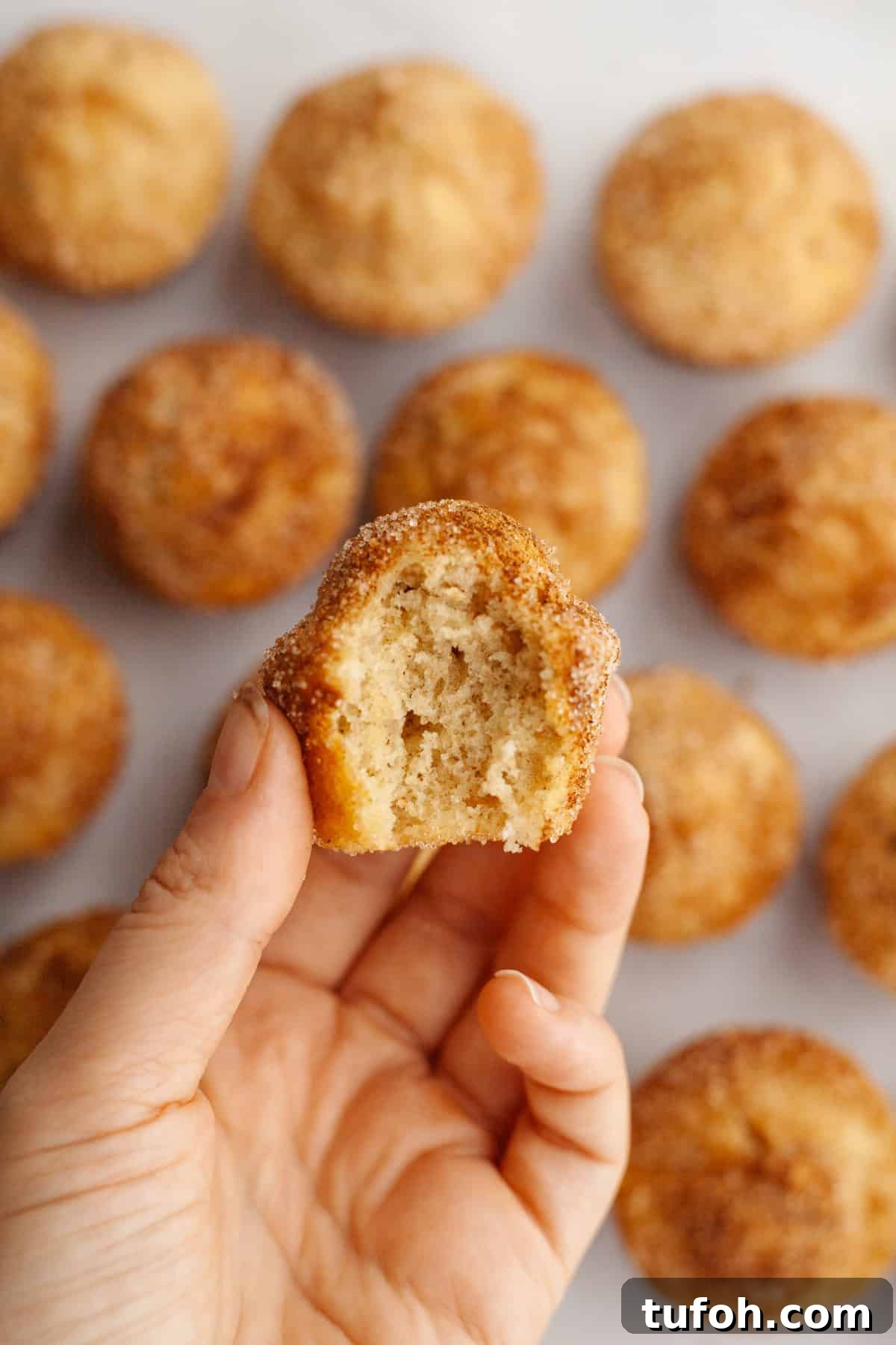 Cinnamon Mini Muffins Recipe: Quick, Soft & Flavorful 9 A hand holding a cinnamon mini muffin which has a bite taken out of it.