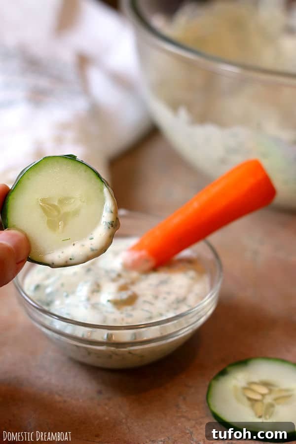 Best Ever Light Ranch Dressing and Dip