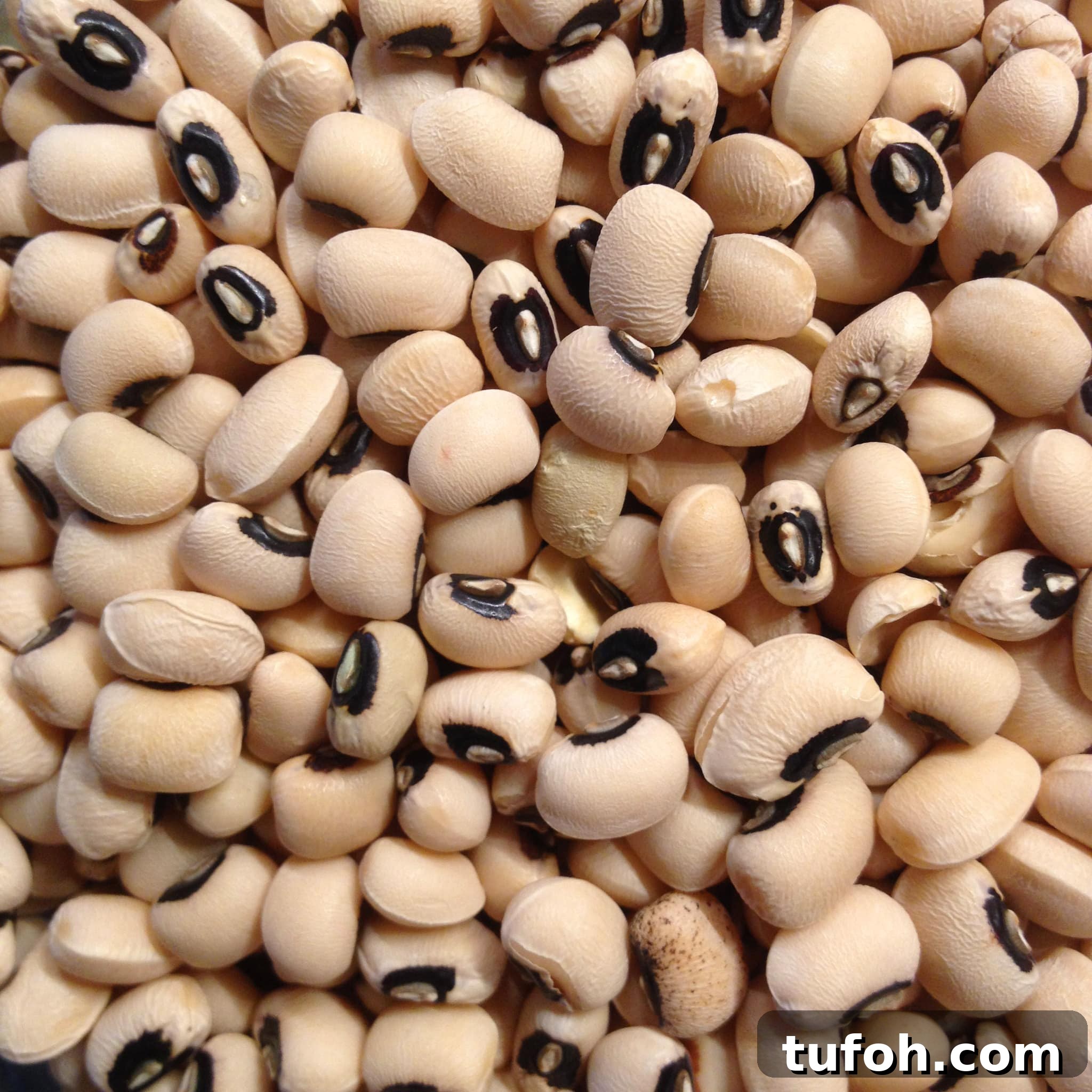 Canned Black Eyed Peas