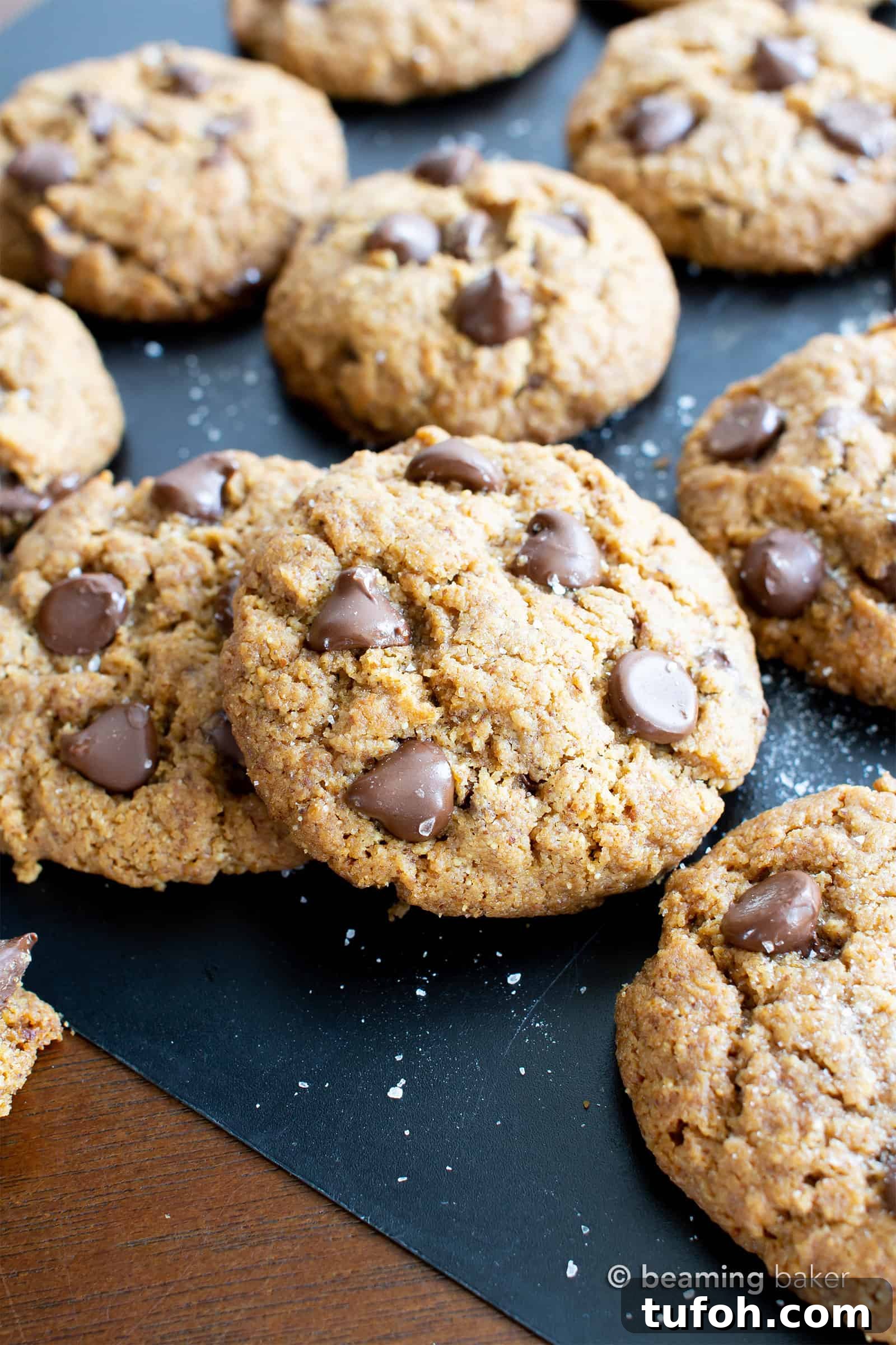 Salted Tahini Chocolate Chip Cookies — Paleo, Vegan, Gluten-Free 2 Salted Tahini Paleo Chocolate Chip Cookies (Coconut Flour): chewy, salty ‘n sweet! The best coconut flour chocolate chip cookies made with tahini butter!