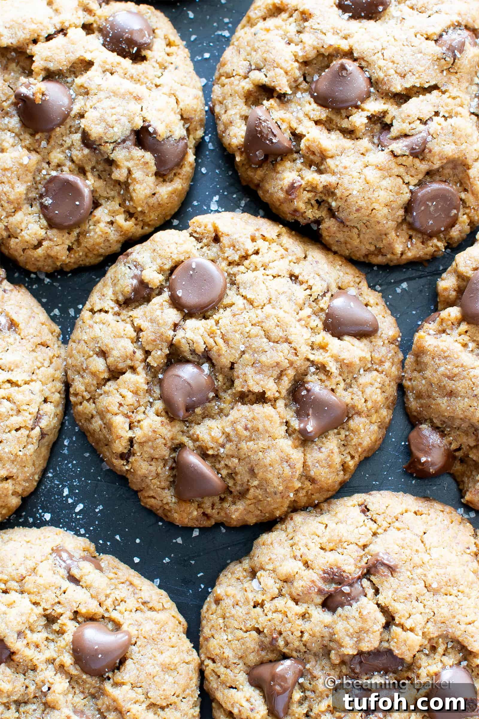 Salted Tahini Chocolate Chip Cookies — Paleo, Vegan, Gluten-Free 3 Salted Tahini Paleo Chocolate Chip Cookies (Coconut Flour): chewy, salty ‘n sweet! The best coconut flour chocolate chip cookies made with tahini butter!