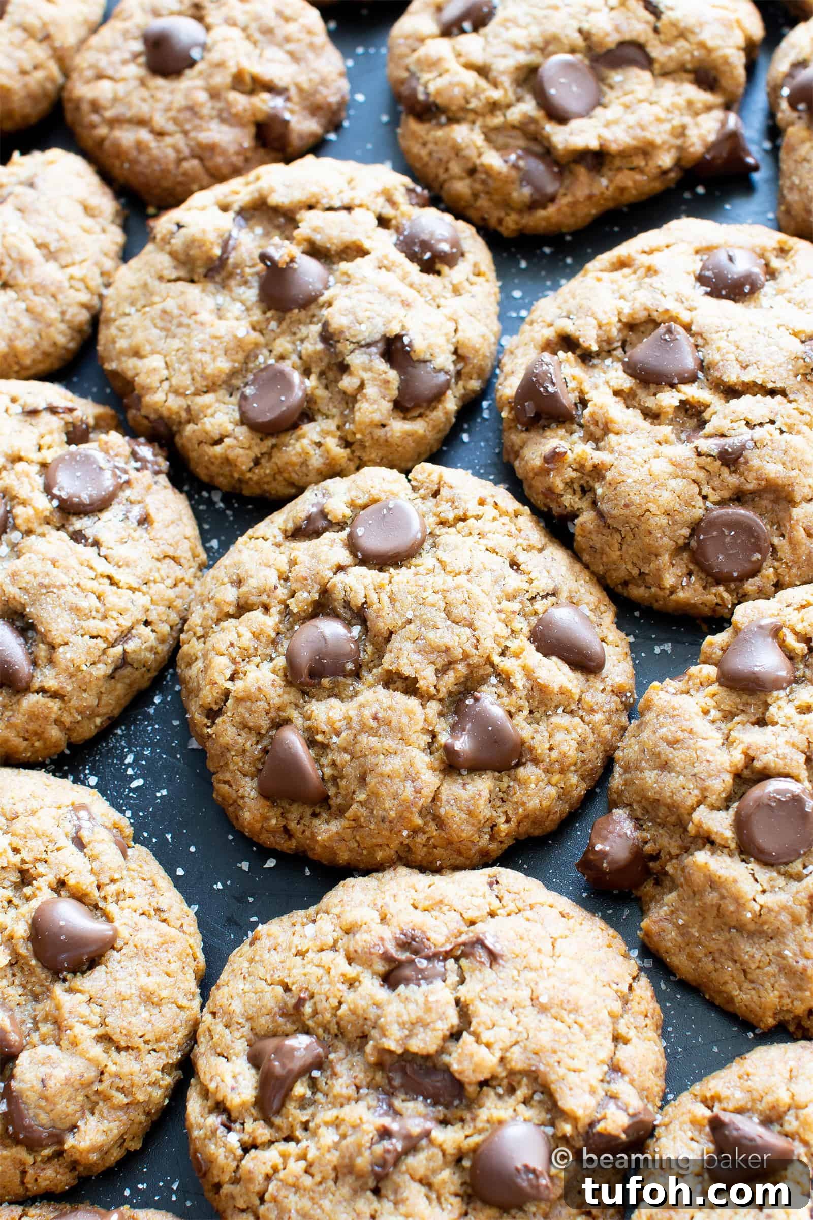 Salted Tahini Chocolate Chip Cookies — Paleo, Vegan, Gluten-Free 4 Salted Tahini Paleo Chocolate Chip Cookies (Coconut Flour): chewy, salty ‘n sweet! The best coconut flour chocolate chip cookies made with tahini butter!