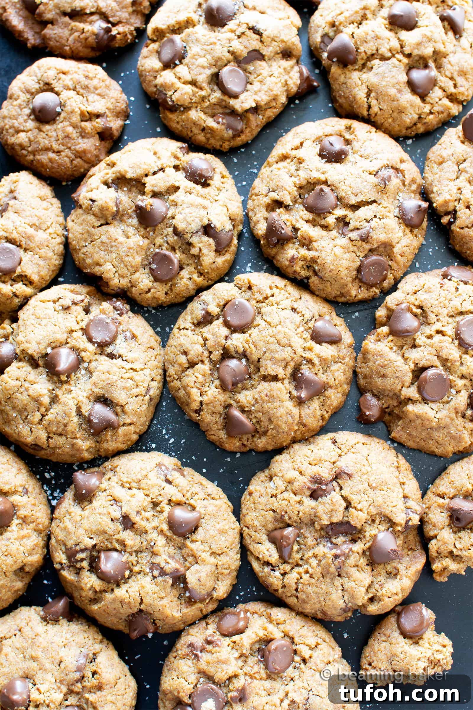 Salted Tahini Chocolate Chip Cookies — Paleo, Vegan, Gluten-Free 5 Salted Tahini Paleo Chocolate Chip Cookies (Coconut Flour): chewy, salty ‘n sweet! The best coconut flour chocolate chip cookies made with tahini butter!