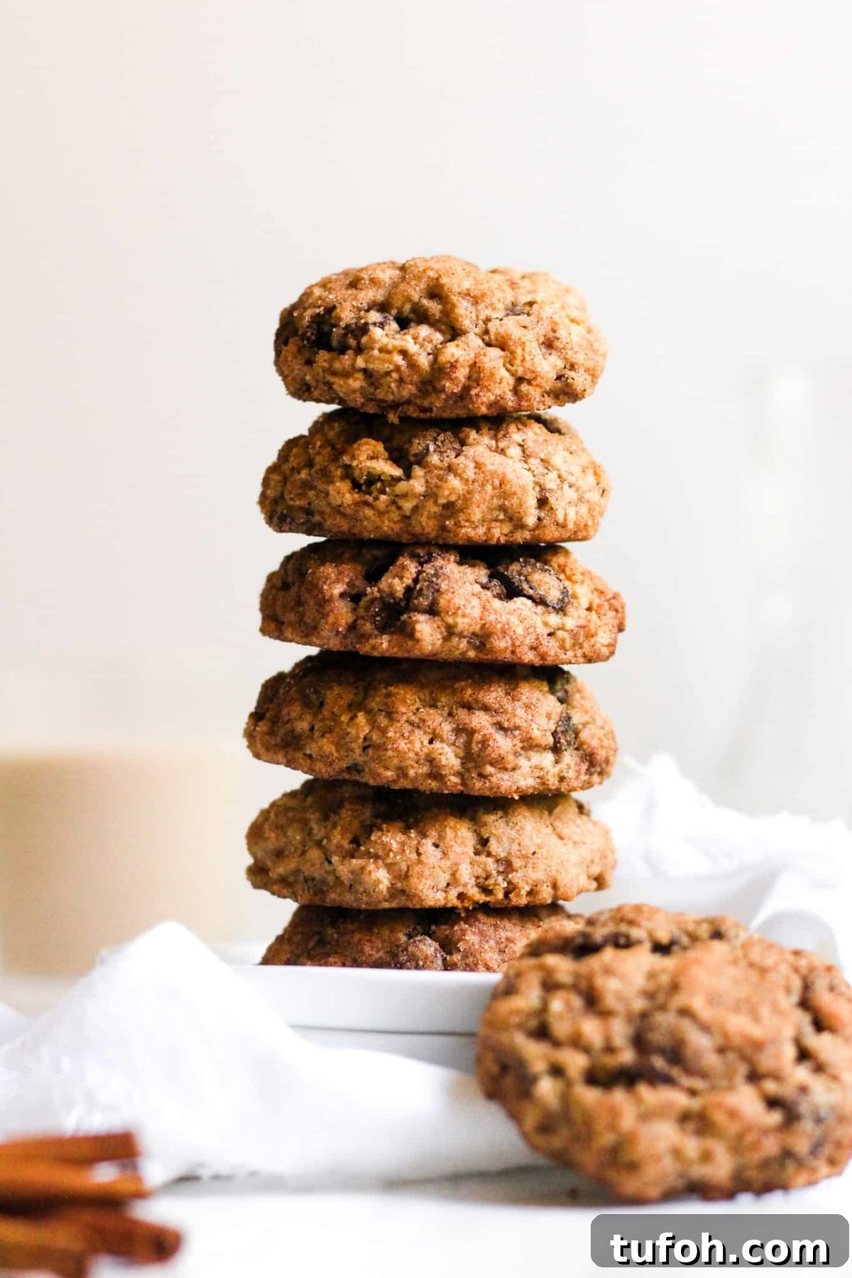 Stack of Healthy Cookies with Raisins, Oats, Cinnamon and Sugar for Food Blog