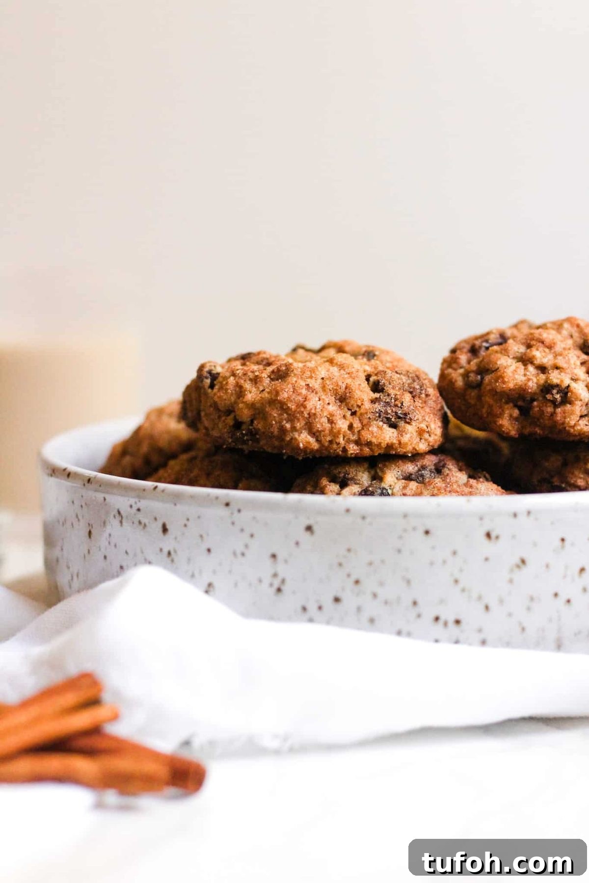 Pottery Bowl of Healthy Cookies with Oats, Cinnamon and Sugar for Food Blog