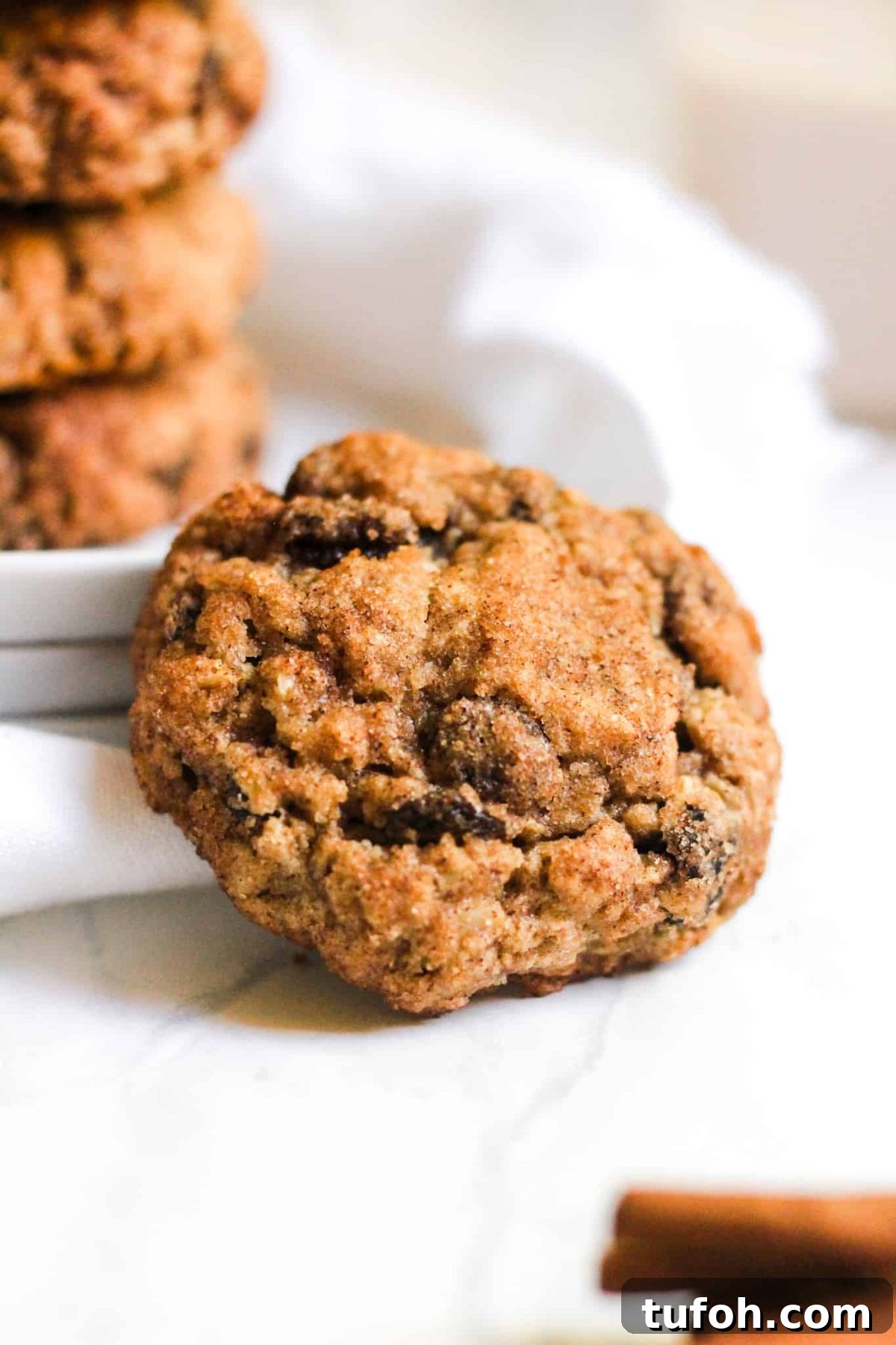 Healthy Cookies with Raisins, Oats, Cinnamon and Sugar for Food Blog